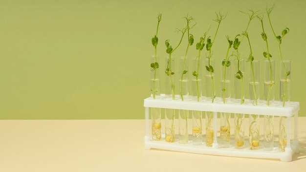 Финансовые аспекты искусственной генетической модификации: Инвестиции в создание новых видов растений.
