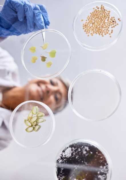 Инвестиции в технологии ферментационного производства: Искусственные белки и новые материалы.