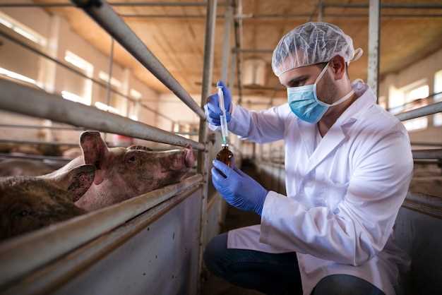 Стратегии трейдинга на рынке искусственного мяса