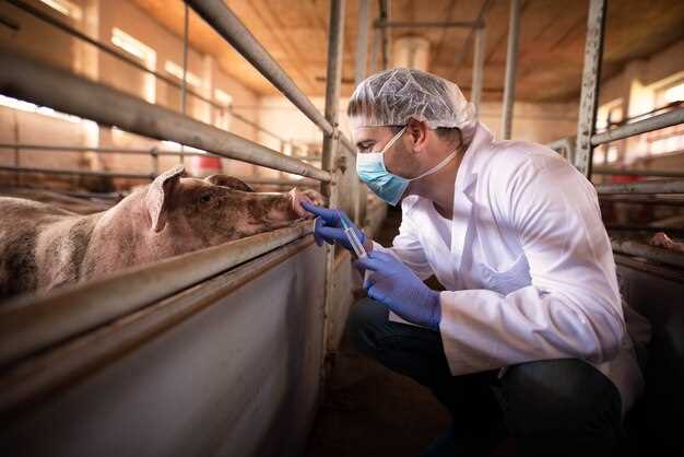 Будущее искусственного мяса