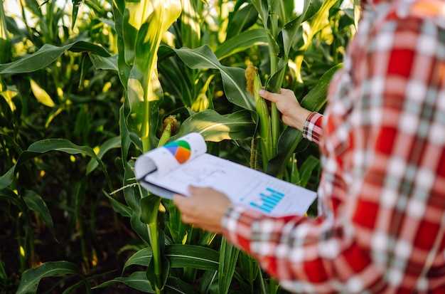 Трейдинг на рынке сельского хозяйства: как использовать технический анализ.